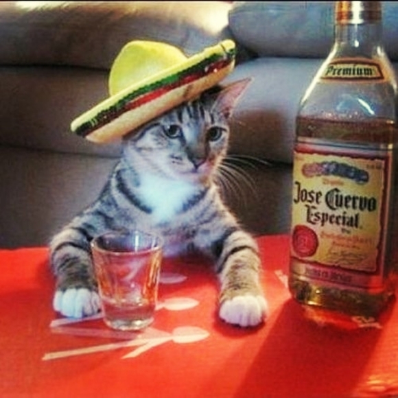 Meet your Posher, Ignacio - Picture 1 of 1